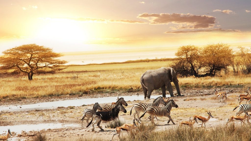 10 Best Highways for Romantic Long Drive
